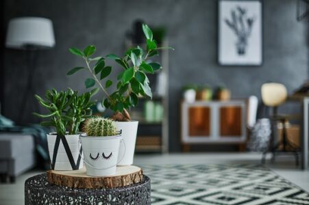 Simple Ways to Personalize Your Living Space Image